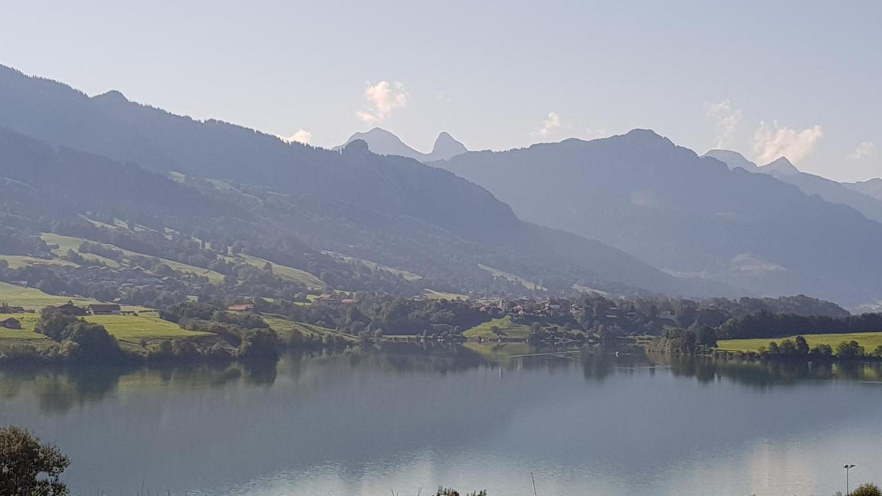 Petite Maison Sur La Colline Du Gibloux: 1Chambre,1 Salon Et Salle De Bain Prives Au Rez De Chausse, Piscine Exterieur Et Bbq , Le Châtelard-Montreux Екстериор снимка